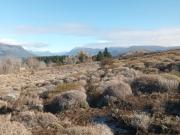 Venta de 2 lotes en Loteo Huechulafquen, Junin de los... Venta de 2 lotes en Loteo Huechulafquen, Junin de los...