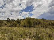 VENTA DE 30 HAS COSTA DE RIO SAN PEDRO