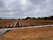 VENTA DE 3.2 HECTAREAS EN VILLA ESQUIU. CORDOBA VENTA DE 3.2 HECTAREAS EN VILLA ESQUIU. CORDOBA