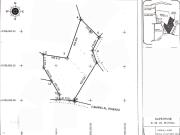 VENTA DE 48 HECTAREAS DEDICADAS A LA SIEMBRA EN...