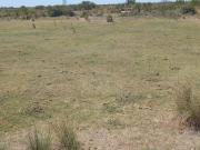 VENTA DE 494 Ha, NORTE CBA, POZO DE LA OLLA