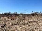 Venta de 5 terrenos en tabachines a una cuadra de forjadores