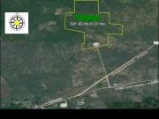 VENTA DE 65 HECTÁREAS KINCHIL, YUCATAN