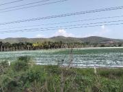 venta de 8 hectáreas sobre autopista