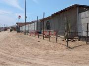 Venta De Amplio Terreno 1,025 M2 En Chilca