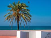 VENTA DE APARTAMENTO EN LA BARROSA