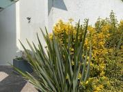 VENTA DE BELLA CASA EN FRACCIONAMIENTO LOMAS DEL SOL....