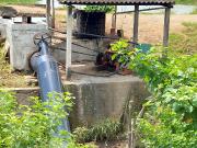 Venta de camaronera en Machala 23.5 has via a Balosa