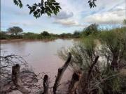 VENTA DE CAMPO 1.100 HAS EN LAS CATITAS MENDOZA