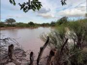 Venta de campo 1.100 has en las catitas mendoza