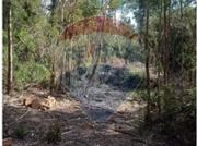 VENTA DE CAMPO EN CALBUCO