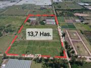VENTA DE CAMPO/ FRACCION de 13,77 Has, LOS HORNOS