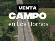 VENTA DE CAMPO/ FRACCION de 13,77 Has, LOS HORNOS