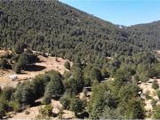 Venta de Campo Pucón Coilaco Alto