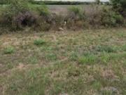 VENTA de CAMPO RUTA A09, COLONIA NUEVA VENTA de CAMPO RUTA A09, COLONIA NUEVA