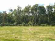 VENTA DE CAMPO SUBDIVIDIDO PARCELAS DE 5 HÁS APROX