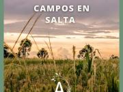 VENTA DE CAMPOS EN SALTA CONSULTANOS