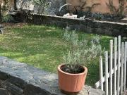 Venta de casa con jardín, 1000 metros de terreno