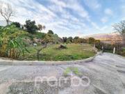 Venta de Casa de Campo con Finca Rústica