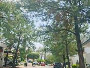 Venta de casa donde el verde se Mezcla con la Belleza