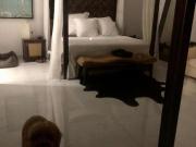 VENTA DE CASA EN BLUE CEDAR, MERIDA, YUC