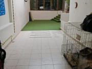 VENTA DE CASA EN SAN PEDRO DE LOS PINOS