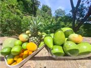 Venta de casa finca Minca 2 hectareas casa amoblada...