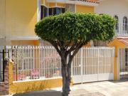 VENTA DE CASA GUADALAJARA JALISCO JARDINES DE ATEMAJAC