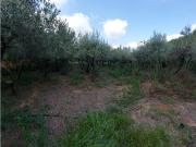 Venta de Casa Rústica en Reus