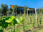 Venta De Casa Sobre Viña En Parcela Vista Al Lago + 3 Ca