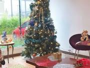 VENTA de CASAS en CAJICA