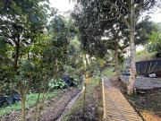 VENTA de CASAS en PEREIRA