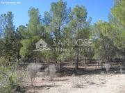 VENTA DE CASERON DEL SIGLO XVIII EN MONOVAR PARA CAZA...