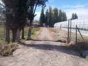 VENTA de Chacra 9 hectáreas, productiva /comercial con...