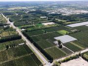 Venta de Chacra con frente de Ruta 22, Allen