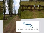 Venta de Chacra en Capilla del Señor 5000m2