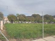 VENTA DE CUATRO PARCELAS EN BENIAJÁN