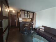 VENTA DE DEPARTAMENTO 1 DORM 1 BAÑ, METRO MANQUEHUE,...