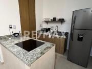 VENTA de Departamento Amueblado con Inquilino en Planta...