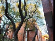 VENTA DE DEPARTAMENTO Antigua Vía la Venta 458, Lomas de...