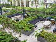 Venta de departamento en Agwa Bosques