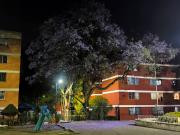 VENTA DE DEPARTAMENTO EN EL ARBOLILLO, GUSTAVO A MADERO