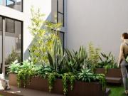 Venta de departamento en la colonia Moctezuma