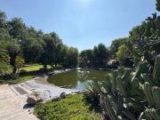 VENTA DE DEPARTAMENTO EN PLANTA BAJA CON ALBERCA GYM Y... VENTA DE DEPARTAMENTO EN PLANTA BAJA CON ALBERCA GYM Y...