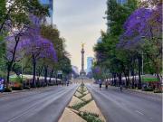 VENTA DE DEPARTAMENTO EN REFORMA PRE VENTA DIC 28