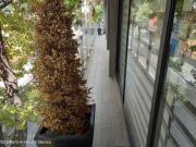 VENTA DE DEPARTAMENTO EN RIO NIAGARA 50 CUAUHTEMOC CDMX