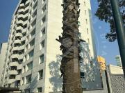 Venta de departamentos en Torre Molinos Interlomas