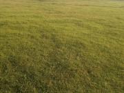 VENTA DE DOS PARCELAS,PANGUE ABAJO COMUNA SAN RAFAEL