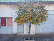 Venta de espectacular Casa 5 o mas ambientes en La...