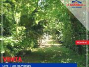 Venta de espectacular Lote De 300 a 500 mts. en Malvinas...